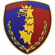 Pogoń