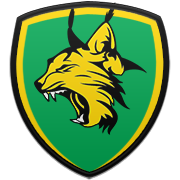 Ilves