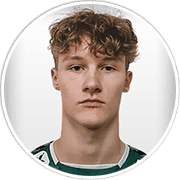 Profile photo for Tizian-Valentino Scharmer