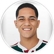 Gustavo Apis