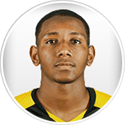 Profile photo for Wellington Manzoli