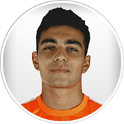 Profile photo for Erik Simonyan