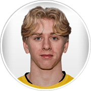 Profile photo for Ludvig Richtnér