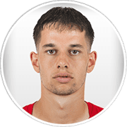 Profile photo for Dominik Peštić