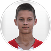 Profile photo for Niko Šepić