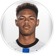 Profile photo for Yannick Mausehund