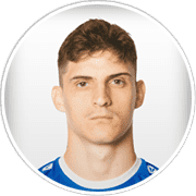 Profile photo for Marin Laušić