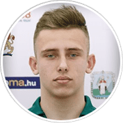 Profile photo for Rihárd Illés