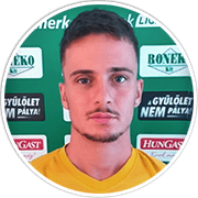 Profile photo for Gergely Hajnal
