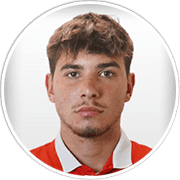 Profile photo for Nicholas Fantoni