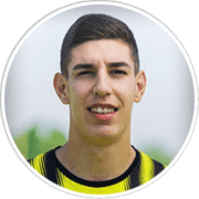 Profile photo for Mario Mladenovski