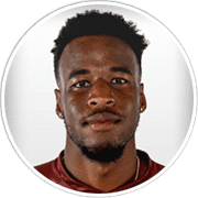 Profile photo for Raiko Arozarena