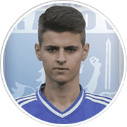 Profile photo for Adrian Mititelu Jr.