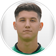 Profile photo for Darius Ghindovean