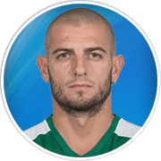 Mladen Petric