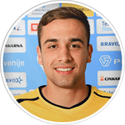 Profile photo for Siniša Borenović