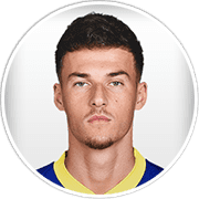 Profile photo for Ajdin Hrustić