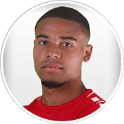 Profile photo for Michael Guthörl